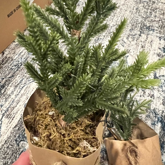 2 Trees/Plant decor - Picture 3 of 7